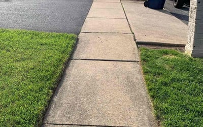 Photo of Jean C.'s yard after getting lawn care in Douglassville, PA