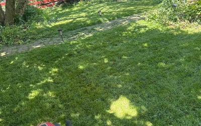 Photo of "Sam N.'s yard after getting lawn care in Milford, PA