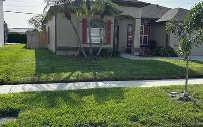 Photo of Kaysha I.'s yard after getting lawn care in Madison, TN