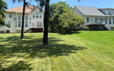 Photo of Edward R.'s yard after getting lawn care in Southport, NC