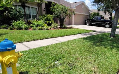 Photo of Shawnice W.'s yard after getting lawn care in Bakersfield, CA