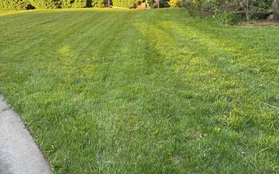 Photo of Sidat N.'s yard after getting tree care in Mission, KS