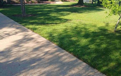 Photo of Elle D.'s yard after getting lawn care in O'Fallon, MO