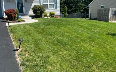 Photo of Eustace F.'s yard after getting lawn care in Hagerstown, MD