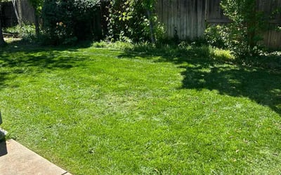 Photo of Shawn M.'s yard after getting lawn care in Roseville, CA