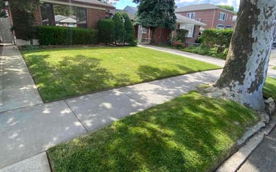 Photo of Kathy A.'s yard after getting lawn care in Hollis, NY