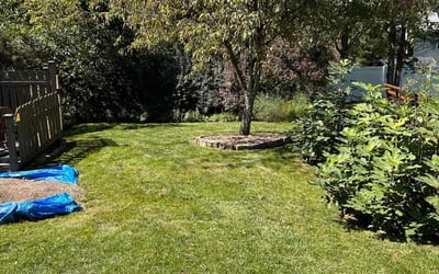 Photo of Janet K.'s yard after getting lawn care in Apollo, PA