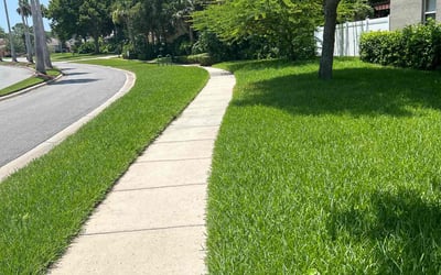 Photo of Lorraine P.'s yard after getting lawn care in Port Orange, FL