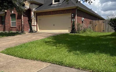Photo of Amy S.'s yard after getting lawn care in Valrico, FL