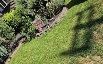 Photo of Marlene T.'s yard after getting lawn care in Elmwood Park, NJ