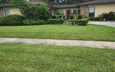 Photo of Shaa R.'s yard after getting lawn care in Somerville, MA