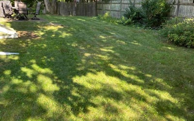 Photo of John H.'s yard after getting lawn care in Abington, MA
