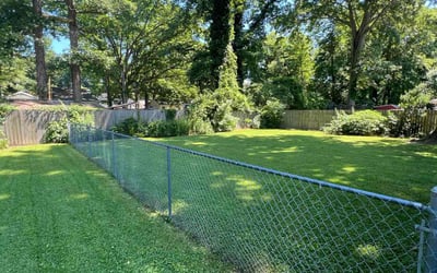 Photo of Michael O.'s yard after getting lawn care in Gloucester, VA