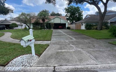 Photo of Kelly J.'s yard after getting lawn care in Brandon, FL
