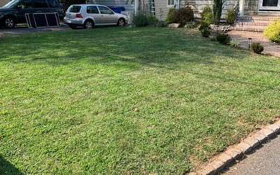 Photo of Haley M.'s yard after getting lawn care in Point Pleasant Beach, NJ