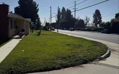 Photo of Zed F.'s yard after getting lawn care in Spring Valley, CA