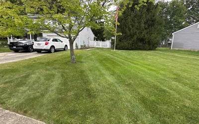 Photo of Martin H.'s yard after getting lawn care in Stow, OH
