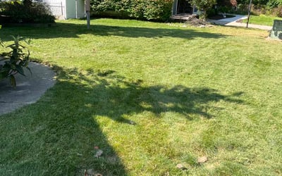 Photo of BLANCA L.'s yard after getting lawn care in Eaton Rapids, MI
