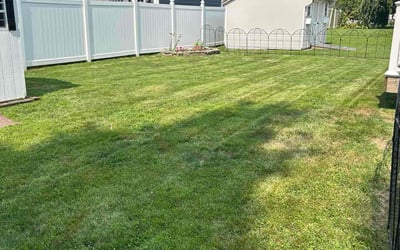 Photo of Sheila H.'s yard after getting lawn care in Broomall, PA