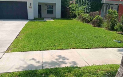 Photo of Linda D.'s yard after getting lawn care in Harlingen, TX