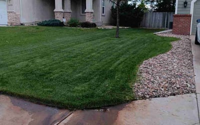 Photo of Moriah Z.'s yard after getting lawn care in Woodland Park, CO