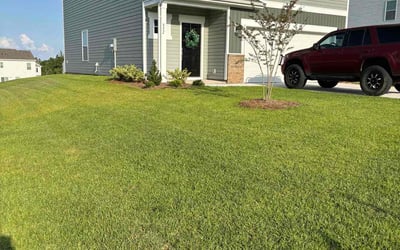 Photo of Tammy L.'s yard after getting lawn care in Murfreesboro, TN