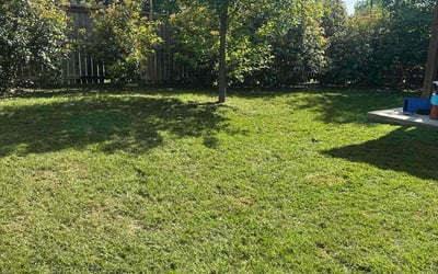 Photo of Yvetha B.'s yard after getting lawn care in Buda, TX