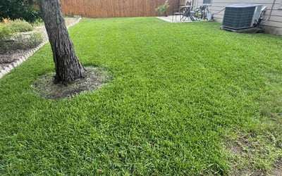 Photo of Jennifer B.'s yard after getting lawn care in Fletcher, NC