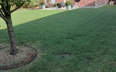 Photo of Rick S.'s yard after getting lawn care in Hyannis, MA