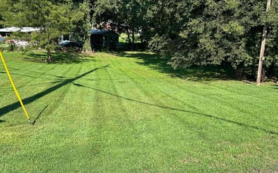 Photo of Steve P.'s yard after getting lawn care in Chattanooga, TN