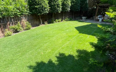 Photo of Mariah F.'s yard after getting lawn care in Smyrna, GA