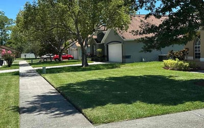 Photo of Terrail H.'s yard after getting lawn care in Ennis, TX