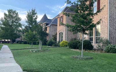 Photo of Damon R.'s yard after getting lawn care in Irving, TX