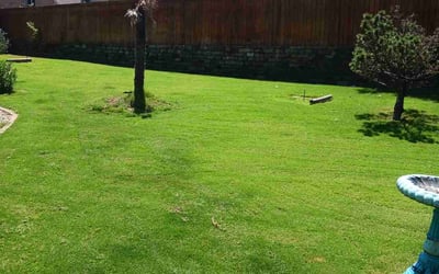 Photo of Richard T.'s yard after getting lawn care in Mesquite, TX