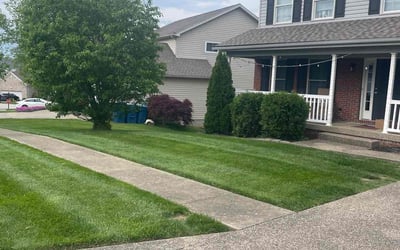 Photo of Frederick H.'s yard after getting lawn care in Taylorsville, KY