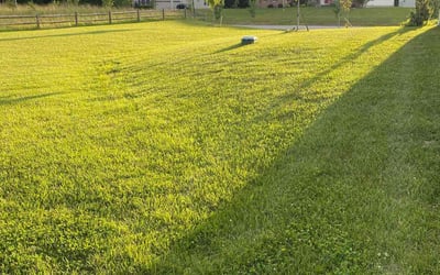 Photo of Christine L.'s yard after getting lawn care in Clinton, MD