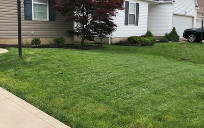 Photo of Kathleen F.'s yard after getting lawn care in Brunswick, OH