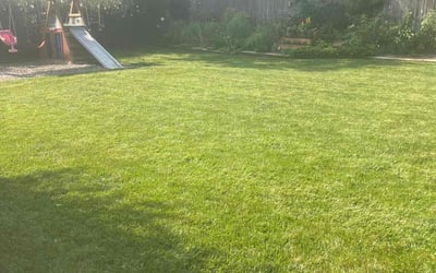 Photo of Quoc D.'s yard after getting lawn care in Carmel, IN