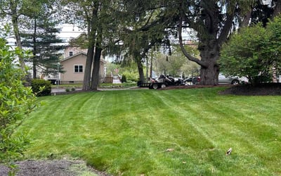 Photo of Meka W.'s yard after getting lawn care in Gastonia, NC