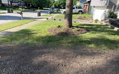 Photo of Sarah B.'s yard after getting lawn care in Darien, IL