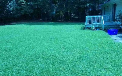 Photo of Jonathon A.'s yard after getting lawn care in Humble, TX