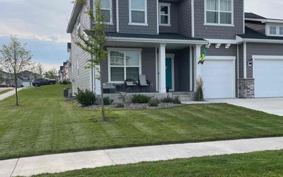Photo of Kathy R.'s yard after getting lawn care in Robbinsdale, MN