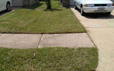 Photo of Richard K.'s yard after getting lawn care in Holmdel, NJ