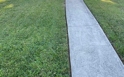 Photo of Melvin B.'s yard after getting lawn care in Marcus Hook, PA