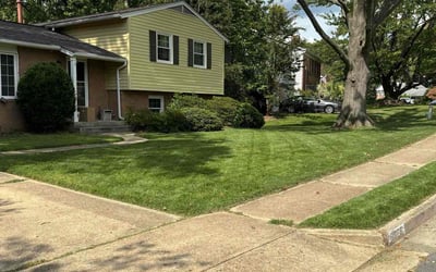 Photo of Ronyetta B.'s yard after getting lawn care in Burke, VA
