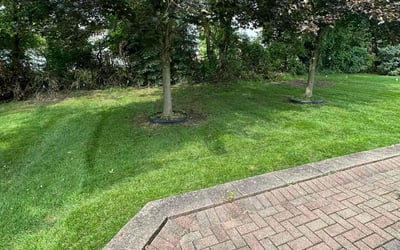 Photo of Sarah K.'s yard after getting lawn care in South Lyon, MI