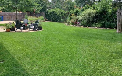 Photo of Zach E.'s yard after getting lawn care in Kansas City, MO
