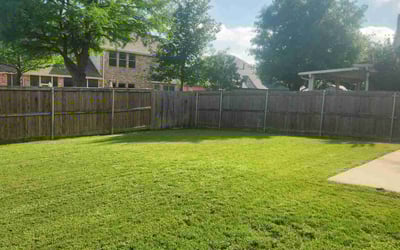 Photo of Leslie B.'s yard after getting lawn care in Allen, TX