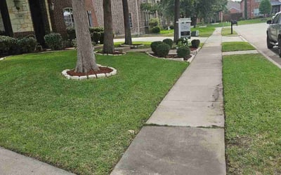 Photo of Ed T.'s yard after getting lawn care in Pico Rivera, CA