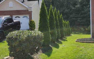Photo of Brandie B.'s yard after getting lawn care in Parkville, MD